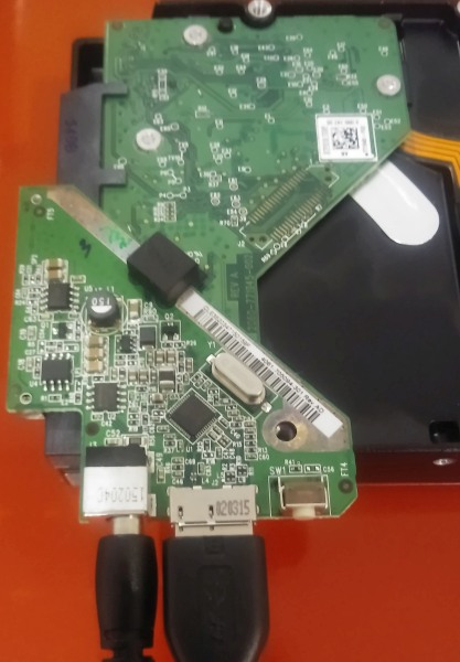 wd-pic3.jpg