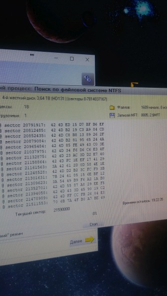 wd-pic8.jpg