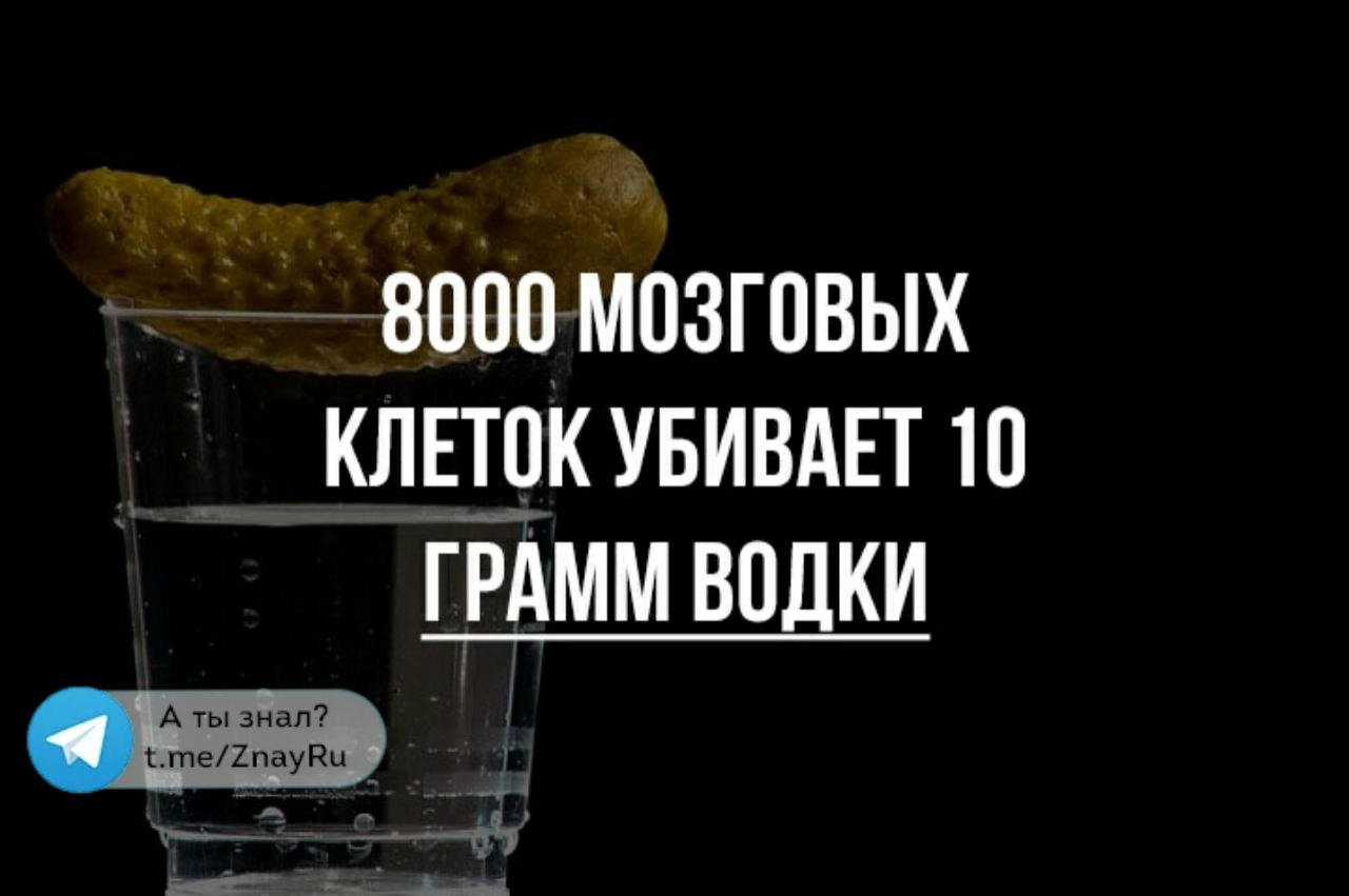 WhatsApp Image 2018-11-28 at 17.18.45.jpeg