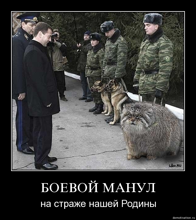 yqkk56o8eoz4.jpg