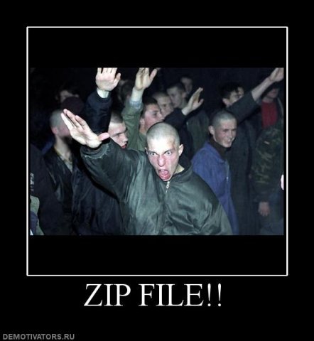 zf.jpg